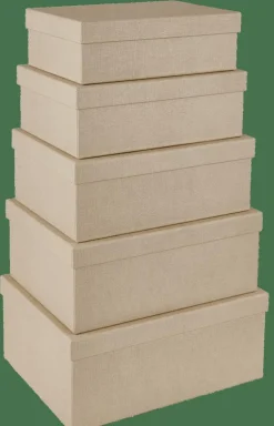 BIGSO Boîte De Rangement M Naturel