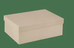 BIGSO Boîte De Rangement S Naturel