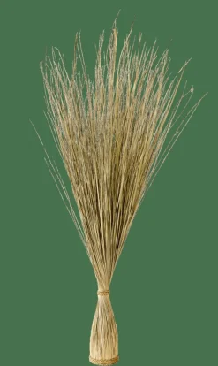 COGON Botte D'herbe Naturel