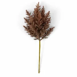 DAMA J Dame-jeanne Brun