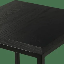 EKI Support Pour Plantes Noir