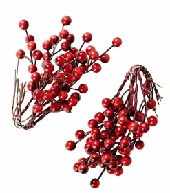 FOAM Branches D'églantier Rouge