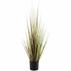 HERBA Herbe En Pot Vert