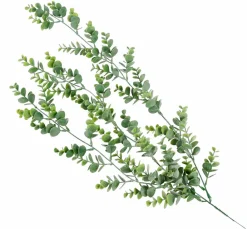 LAGURUS Lagure Ovale Naturel