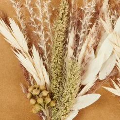 MIA Décoration Séchée Vert