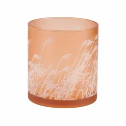 PAMPAS Tiges D'herbe Gris