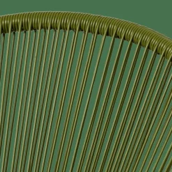 PAPAYO Chaise Lounge Avec Coussin Vert