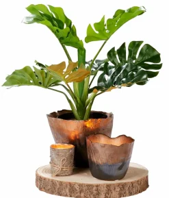 PURE RUSTIC Bougie Gris