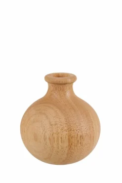 STAR Décoration Séchée