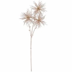 STAR Décoration Séchée