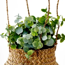 TERRA Pot Avec Plante Blanc, Vert