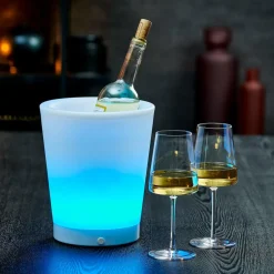 VACUVIN Refroidisseur Argent