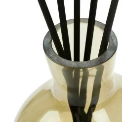 VERA Plante Grasse Sur Tige Vert